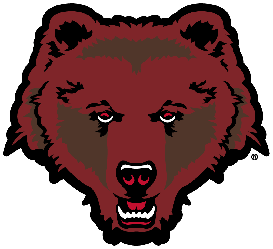 Brown Bears 2018-Pres Alternate Logo t shirts iron on transfers